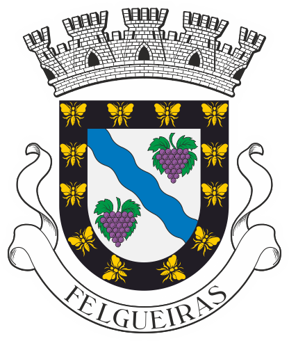 Câmara Municipal de Felgueiras