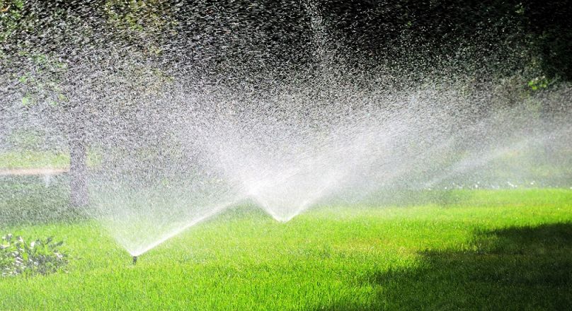 Espaços exteriores, Piscina e Rega